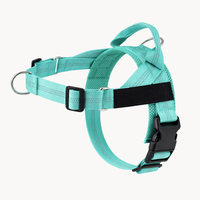 Menta