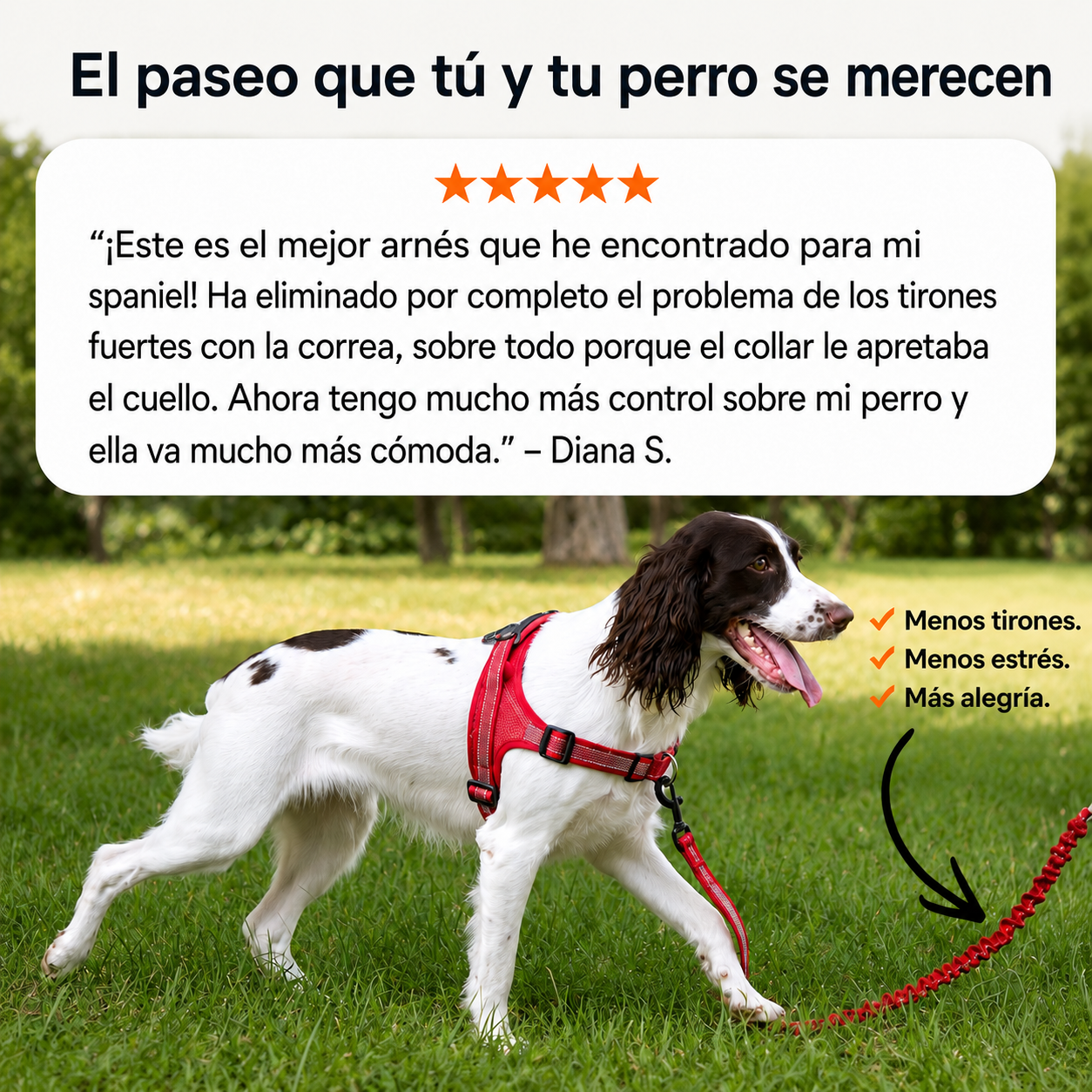 ParoPet Arnés antitirones para perro