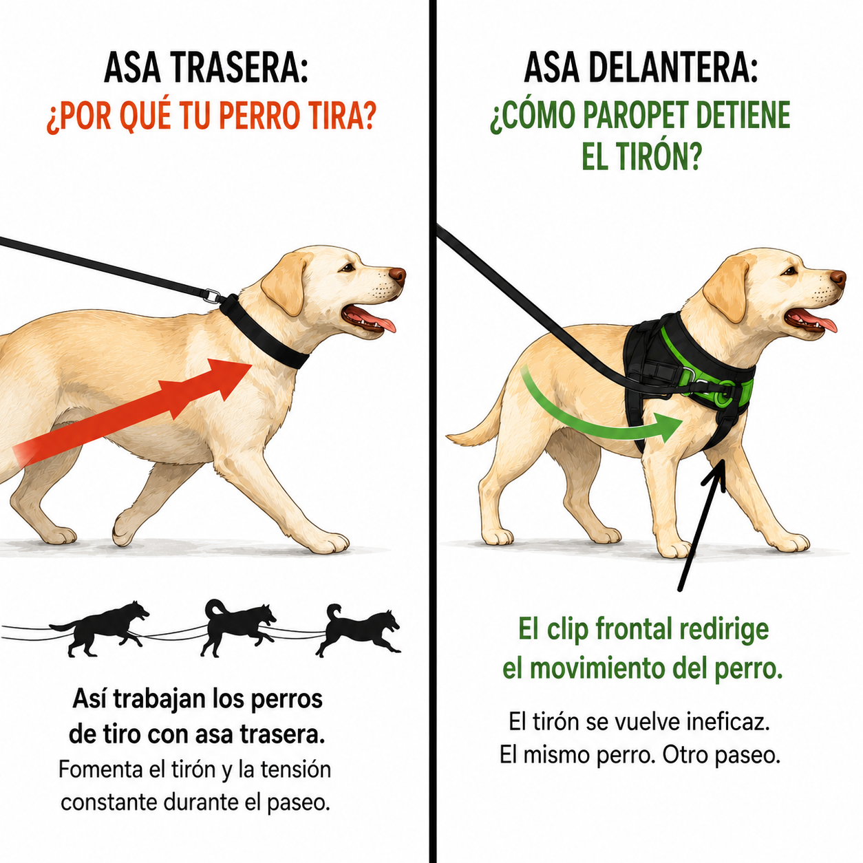 ParoPet Arnés antitirones para perro